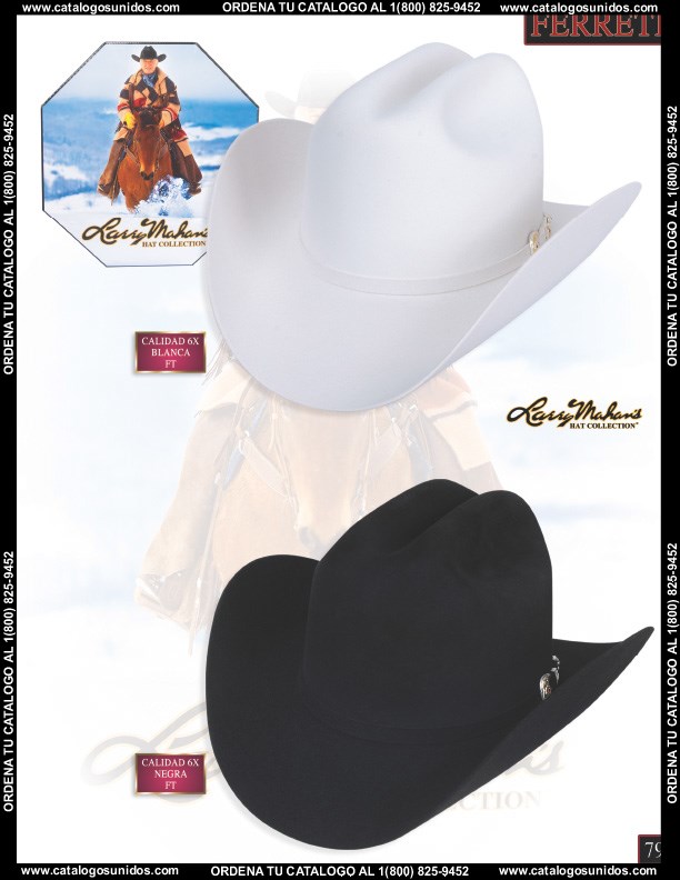 Ferreti2014 (Page 79)